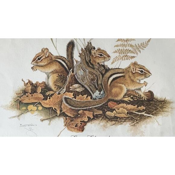Jim Oliver Signed Print Eastern Chipmunks Framed Wildlife Art Plate 20 - Picture 3 of 15